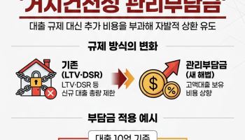 "LTV·DSR 한계…고액대출에 부담금 부과"