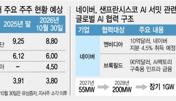 AI 인프라 공급자로 나선 네이버…생활형 서비스 집중하는 카카오