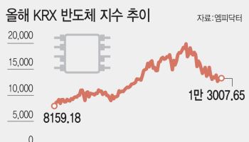 반도체 '피크아웃' 논쟁…증권가 "이익체질이 바뀌고 있다"
