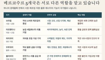 EU·日보다 늦는다…메르코수르 협상 서두르는 이유