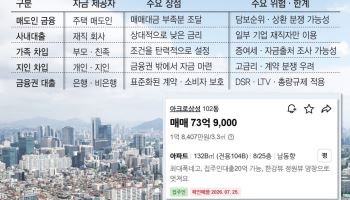 "집주인 대출, 20억원 가능합니다"…은행 막히자 ‘우회 영끌’ 확산
