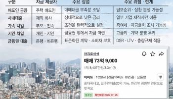 "집주인 대출, 20억원 가능합니다"…은행 막히자 ‘우회 영끌’ 확산