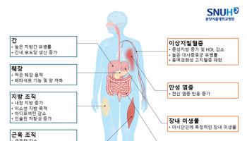 체중 아닌 체지방과 장기 기능 중심 비만 진단법 등장
