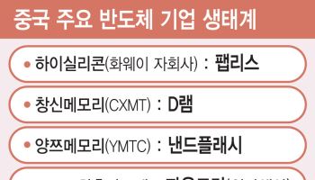 EUV 대체장비 양산…中 반도체 자립속도