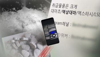 마약 사범 10명 중 6명 '2030'…안방까지 파고든 '음지 시장' 실태