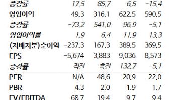 하이브, BTS 공연·음원 흥행에 목표가 33만원↑-NH