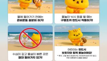 행안부, 보령 피서지 안전 점검…폭염·인파 대비 총력