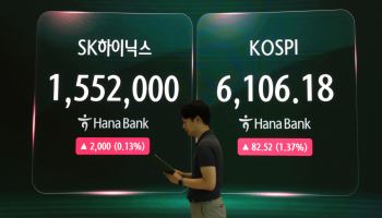 '삼전닉스' 개미 절반은 피봤다…과거 구조대 언제 왔나