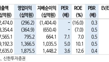 한화솔루션, 북미 태양광 재평가 여건 갖춰져...목표가는 하향-신한
