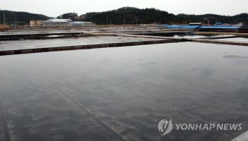 "염전노예 뿌리뽑자"…해수부·노동부·경찰청·전남광주시 업무협약