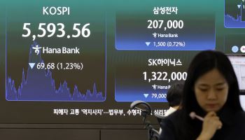 상반기 달린 대형주, 이달 조정에 35% 급락…중형주는 상승분 모두 반납