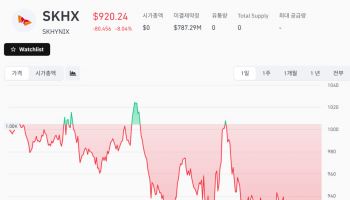 오늘도 6% 하락 적중…SK하이닉스 선행지표 ‘토큰닉스’