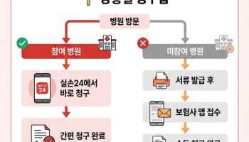 '종이없이 실손보험 청구하기'…왜 나는 안될까
