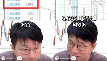 "하이닉스 3600주 한 번에" 슈카, 최태원 매수 '포착'