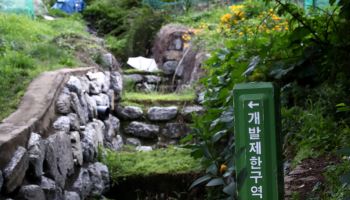 그린벨트 풀어도 집값은 잡히지 않는다[손바닥 부동산]