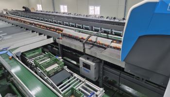 AI가 선별하고 로봇이 포장…경북, 스마트 APC 26곳 구축