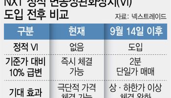 "800억 청산 부른 '1주 하한가'…내달 정적 VI 도입해도 한계"