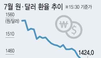 환율 금융위기 후 최대폭 하락…주가·환율공식 깨졌다
