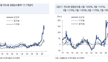 "반도체 수출액, 올 3분기에도 100%대 증가율 전망" -NH