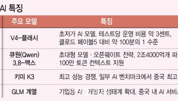 중국 AI, 가성비로 美빅테크 맹추격