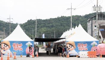 영덕군, 복숭아 직거래 장터 17일까지 운영…28개 농가 참여