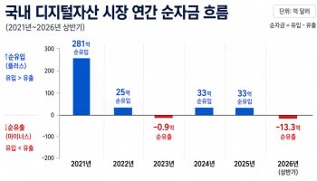 상반기만 2조원 해외 '순유출'…올해 디지털자산 역대급 엑소더스