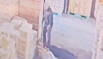 사장 장난에 직원 5m 추락…노동부, 식자재업체 기획감독