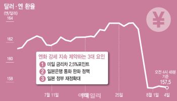 美, 엔화 구하기에도…시장선 “강세 오래 지속 어렵다"