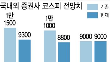 "9000피, 삼전 49만원" 국내외 전망 엇갈린 이유