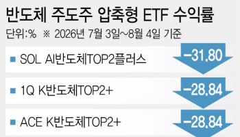 삼전닉스 샛길 탔는데 -30%…개미들 비명 터졌다