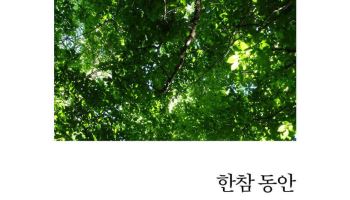 [책]괜찮아…숲에서 얻은 작은 용기