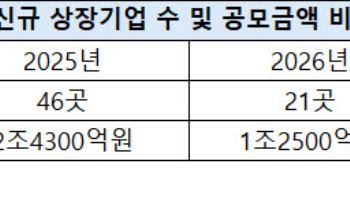 새내기주 첫날 성적표 ‘먹구름’…공모기업·공모금액도 반토막