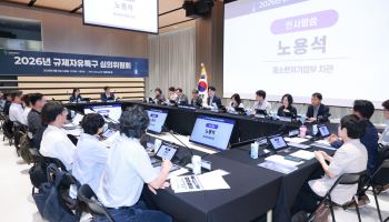 지역 손잡고 규제 푼다...광역연계형 규제자유특구 첫발
