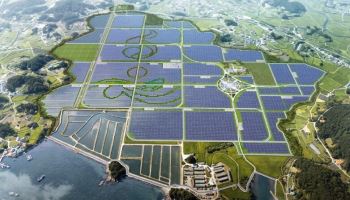 국내 최대 400MW 해남 태양광 발전단지 첫삽…13만가구 쓸 전기 만든다