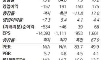 엘앤에프, 테슬라 이원화 우려에도 "매수 접근 필요"-NH