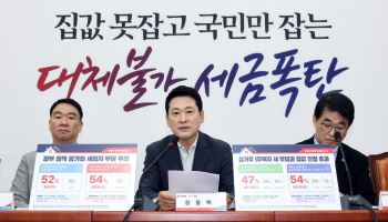 국힘 "李대통령, 부동산 지옥 주범…공급 늘려 '진짜 정상화' 해야"