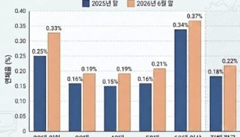 '빚투 청구서' 날아왔나…청년·고령층 마통 연체율 빨간불