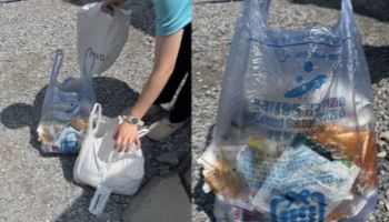 "대부분 한국 쓰레기"…日 명소에 버려진 '종량제봉투'