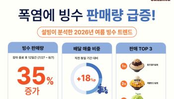 폭염에 ‘빙수 특수’…설빙 판매 35% 늘었다