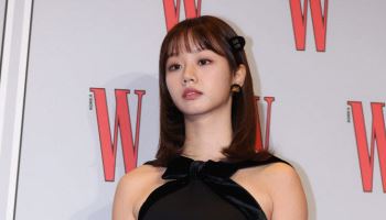혜리, 악플러 법적대응 "범죄 혐의 인정…벌금형·기소 처분"