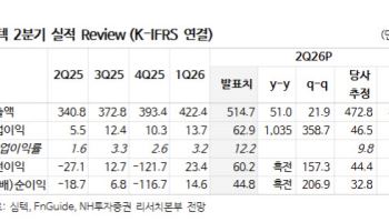 심텍, 소캠 타고 수익성 개선 가속…목표가↑NH