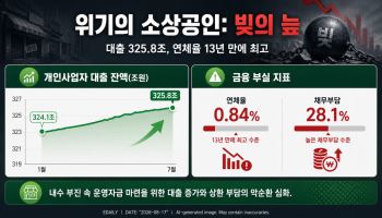 “폐업도 못 한다”…소상공인 ‘버티기 대출’ 다시 늘었다(성장부 기획 하단)