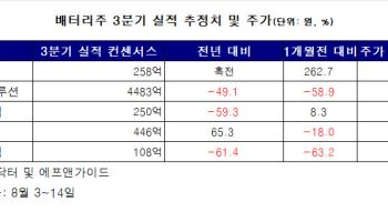 배터리주, 실적 부진 터널 지나나…EV서 ESS로 무게중심 이동 '새국면'