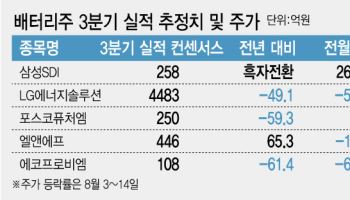 배터리주, 실적 부진 터널 지나나…EV서 ESS로 무게중심 이동 '새국면'