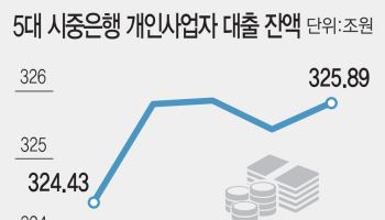 “폐업도 못 한다”…소상공인 ‘버티기 대출’ 다시 늘었다