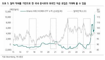 "달러 약세에 외국인 자금 유입 기대…자동차·2차전지 등 주목"