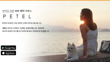 플랫폼 넘어 호텔·기념품으로…부산 관광 스타트업 ‘몸집 키우기’