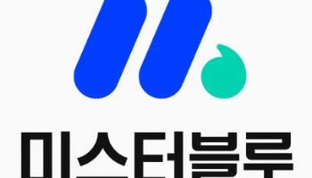 미스터블루, 상반기 영업익·순익 흑자전환…합병 효과 본격화