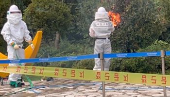 난데없는 말벌 공격…부산 케이블카 찾은 방문객 15명 부상