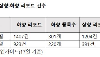 삼전닉스에 무슨 일이…"목표가 하향으로 분위기 역전"